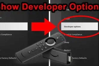 developer options firestick